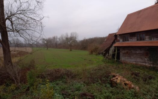 KUĆA I ZEMLJIŠTE U PARKU PRIRODE LONJSKO POLJE